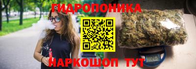 прущие грибы Гусев